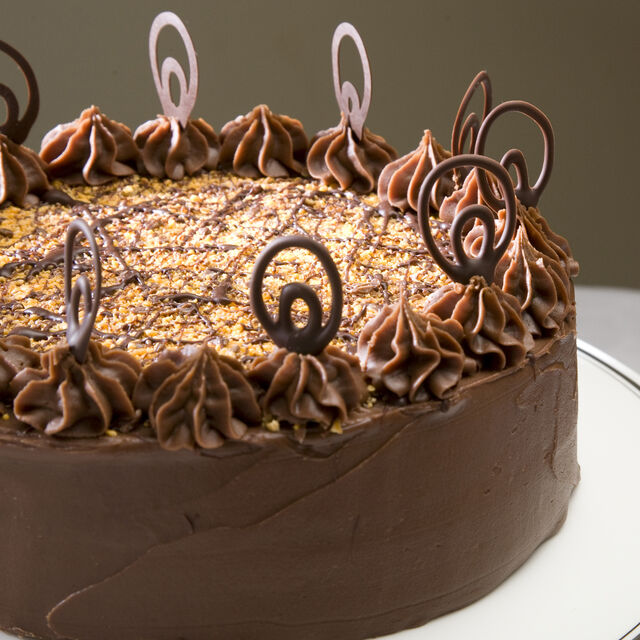 Festive Chocolate Orange Cake